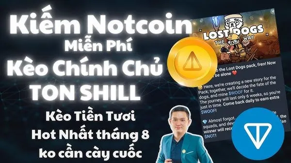 game kiếm tiền - Notcoin